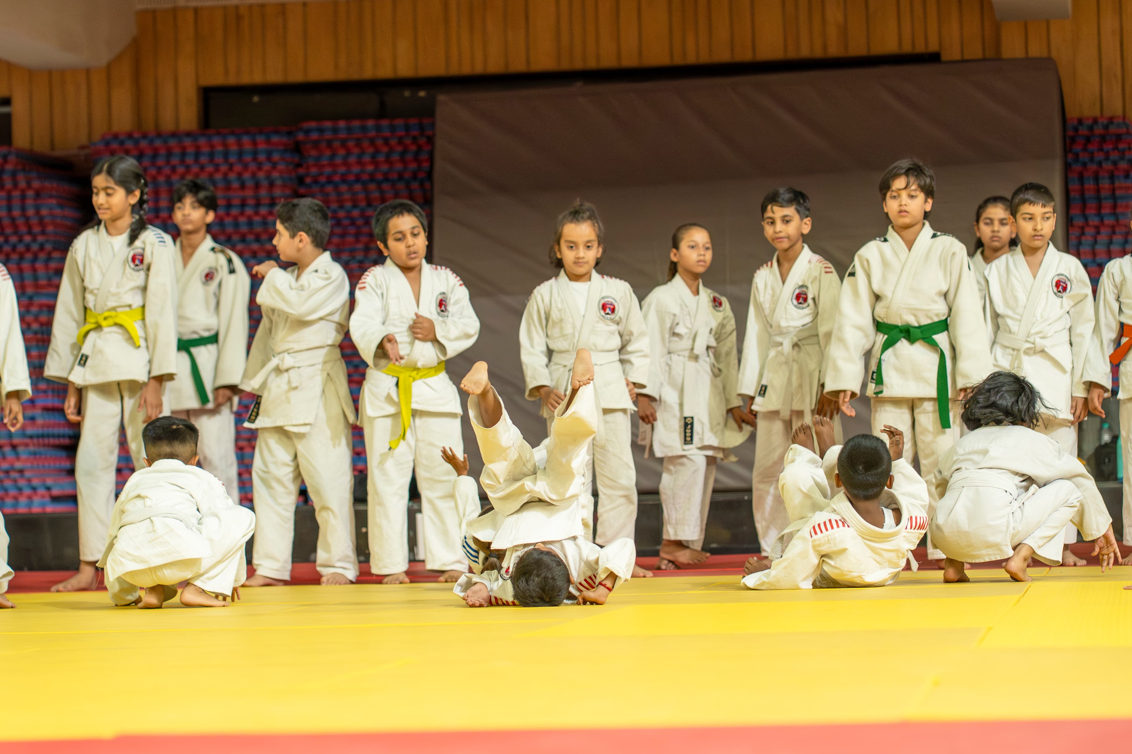 4-6 Year Old Kids Martial Arts
